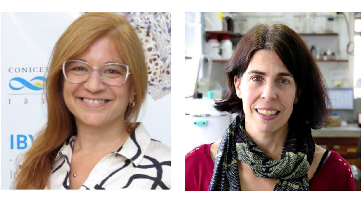 SAB-en-jornadas-soc-biol-arg_2025